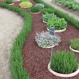 Benefits of herbs
